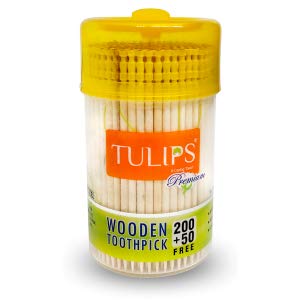 Tulips Premium Wooden Toothpicks Pack of 1 